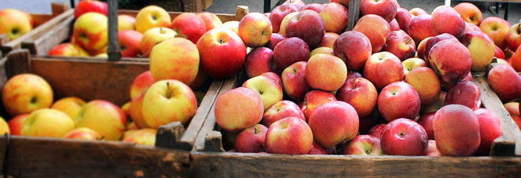 bewaartijd appels en peren